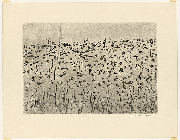 Artist: b'WILLIAMS, Fred' | Title: b'Hillside landscape, Lysterfield' | Date: 1965-66 | Technique: b'etching, flat biting, drypoint and mezzotint rocker, printed in black ink, from one plate' | Copyright: b'\xc2\xa9 Fred Williams Estate'