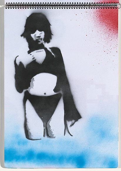 Title: b'Chickenpox' | Date: 2003-2004 | Technique: b'stencil, printed with colour aerosol paint, from multiple stencils'