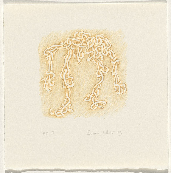 Artist: b'White, Susan Dorothea.' | Title: b'Spaghetti legs' | Date: 1983 | Technique: b'lithograph, printed in brown ink, from one stone'