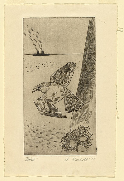 Artist: Wienholt, Anne. | Title: Bird | Date: 1950 | Technique: line-engraving, printed in black ink with plate-tone, from one copper plate