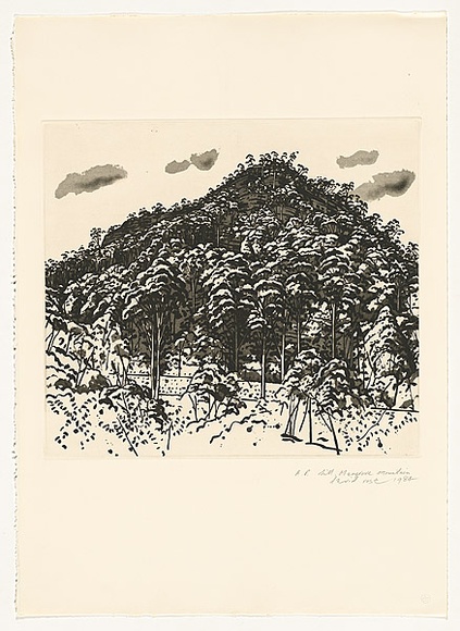 Artist: b'Rose, David.' | Title: b'Hill, Mangrove Mountain' | Date: 1984 | Technique: b'aquatint, printed in black ink, from one plate'