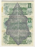 Artist: HALL, Fiona | Title: Quercus bicolor - Swamp white oak (Canadian currency) | Date: 2000 - 2002 | Technique: gouache | Copyright: © Fiona Hall