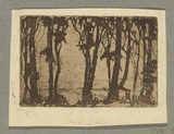 Artist: Coleman, Constance. | Title: (Trees). | Date: c.1944 | Technique: etching, printed in brown ink with plate-tone, from one plate