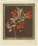 Artist: b'Allport, C.L.' | Title: b'Crategus.' | Date: c.1928 | Technique: b'linocut, printed in colour, from multiple blocks'