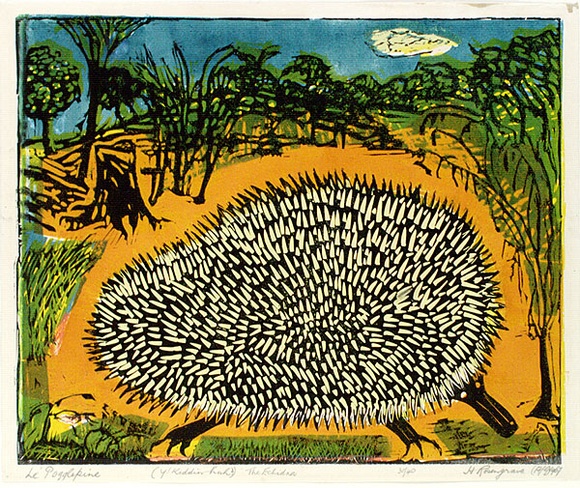 Artist: b'ROSENGRAVE, Harry' | Title: bLe pogglepine (y'kiddinhuh?) The echidna | Date: 1967 | Technique: b'linocut, printed in colour, from five blocks; hand-coloured'