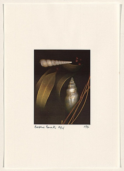 Title: b'Rococo Recollections [17]' | Date: 1995 | Technique: b'electrostatic print, printed from a Canon colour laser copier, from collaged elements'