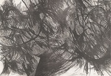 Artist: b'MEYER, Bill' | Title: b'Gap' | Date: 1969-1971 | Technique: b'lithograph, printed in black ink, from one stone' | Copyright: b'\xc2\xa9 Bill Meyer'