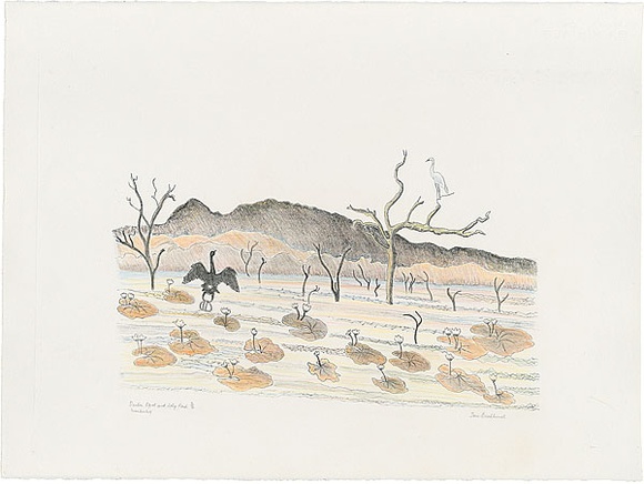 Artist: b'Bradhurst, Jane.' | Title: b'Darter, egret and lily pond, Kimberley.' | Date: 1997 | Technique: b'lithograph, printed in black ink, from one stone; hand-coloured in watercolour'