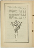 Title: b'not titled [lobelia simpliciaulis].' | Date: 1861 | Technique: b'woodengraving, printed in black ink, from one block'