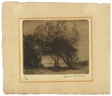 Artist: Morgan, Squire. | Title: (Ti trees) | Date: 1922 | Technique: etching, printed in brown ink with plate-tone, from one plate
