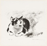 Artist: b'Thorpe, Lesbia.' | Title: b'Cat' | Date: 1984 | Technique: b'lithograph, printed in black ink, from one plate'