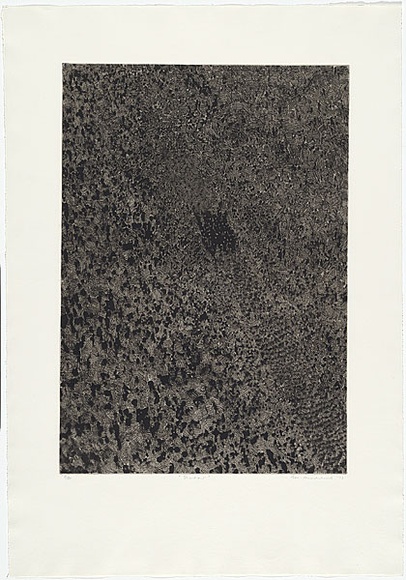Artist: b'MADDOCK, Bea' | Title: b'Shadow' | Date: 1973 | Technique: b'photo-etching, engraving and aquatint, printed in black ink, from one plate'