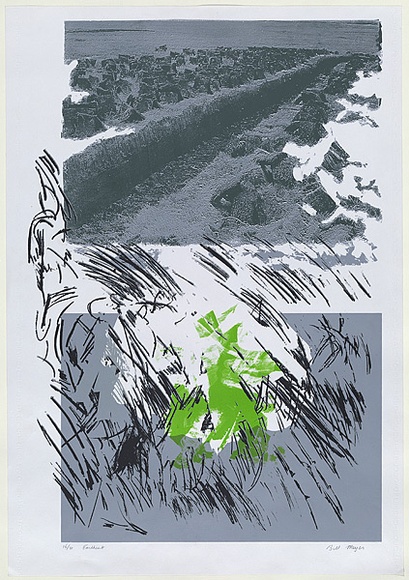 Artist: b'MEYER, Bill' | Title: b'Earthcut' | Date: 1979-1981 | Technique: b'screenprint, printed in four colours, from multiple screens, handcut direct and photo indirect' | Copyright: b'\xc2\xa9 Bill Meyer'