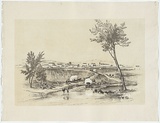 Artist: Angas, George French. | Title: Bathurst | Date: 1851 | Technique: lithograph, printed in colour, from two stones
