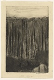 Artist: b'WILLIAMS, Fred' | Title: b'Saplings, Mittagong' | Date: 1958-61 | Technique: b'aquatint, engraving and drypoint, printed in black ink, from one copper plate' | Copyright: b'\xc2\xa9 Fred Williams Estate'