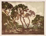Artist: b'Reynolds, Frederick George.' | Title: b'Ti-tree' | Date: (1929) | Technique: b'linocut, printed in colour, from mutliple blocks'