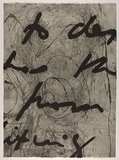 Artist: b'PARR, Mike' | Title: b'Language and chaos 6.' | Date: 1990 | Technique: b'drypoint, electric grinder and burnishing, printed in black ink, from one copper plate; over printed with lift ground aquatint, printed in black ink, from one steel plate'