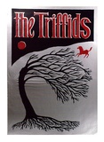 Artist: b'MERD INTERNATIONAL' | Title: b'Poster: The Triffids' | Date: 1984 | Technique: b'screenprint'