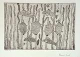 Artist: b'Laurel, Doris Jayirtna.' | Title: b'Food from the river, barramundi and turtle' | Date: 2001, August - September | Technique: b'etching, printed in black ink, from one plate'