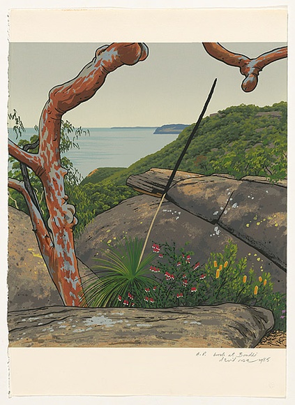 Artist: b'Rose, David.' | Title: b'Bush at Bouddi' | Date: 1985 | Technique: b'screenprint, printed in colour, from multiple stencils'