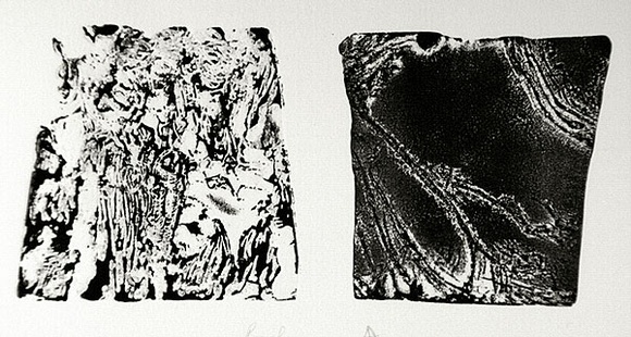 Artist: b'SHEARER, Mitzi' | Title: b'not titled' | Technique: b'etching, printed in black ink, from two  plates'