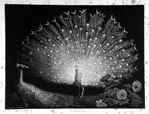 Artist: b'LINDSAY, Lionel' | Title: b'The white fan' | Date: 1935 | Technique: b'wood-engraving, printed in black ink, from one block' | Copyright: b'Courtesy of the National Library of Australia'