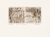 Artist: MEYER, Bill | Title: Old dam and grass. | Date: 1988 | Technique: etching, printed in black ink with plate-tone, from two zinc plates | Copyright: © Bill Meyer