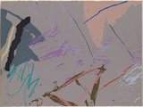 Artist: b'Ball, Sydney.' | Title: b'Byron spring.' | Date: 1980 | Technique: b'screenprint, printed in colour, from multiple stencils'