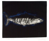 Artist: b'Shepherdson, Gordon.' | Title: b'The Mackerel: Number three' | Date: 1979 | Technique: b'etching and aquatint, printed in colour with plate-tone, from one plate'