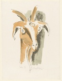 Artist: b'MACQUEEN, Mary' | Title: b'Goat II' | Date: 1969 | Technique: b'lithograph, printed in colour, from multiple plates' | Copyright: b'Courtesy Paulette Calhoun, for the estate of Mary Macqueen'