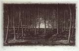 Artist: Jones, Tim. | Title: Woods | Date: 1994, April - May | Technique: etching and aquatint, printed in black ink, from one plate