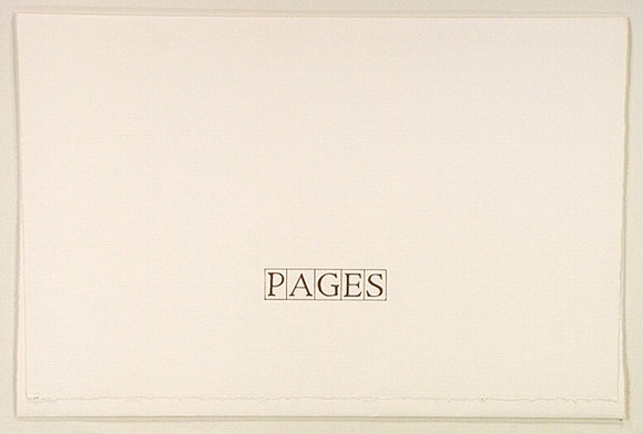 Artist: b'MADDOCK, Bea' | Title: b'Pages' | Date: 1979 | Technique: b'photo-etching, burnishing, relief-etching and letterpress, printed in colour'