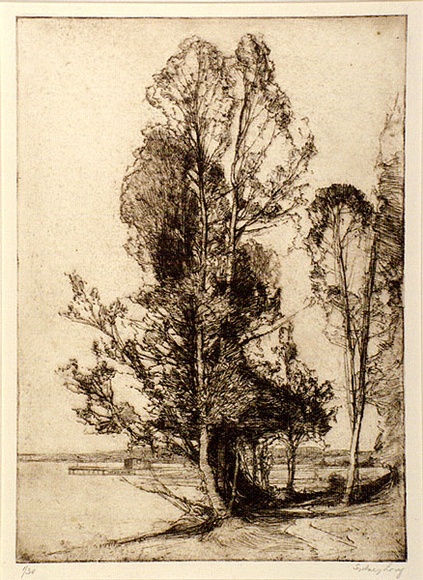 Artist: b'LONG, Sydney' | Title: b'Brisbane water' | Date: 1925 | Technique: b'line-etching, printed in brown ink, from one copper plate' | Copyright: b'Reproduced with the kind permission of the Ophthalmic Research Institute of Australia'