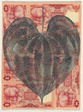 Artist: HALL, Fiona | Title: Dioscorea bulbifera - Round yam (Indonesian currency) | Date: 2000 - 2002 | Technique: gouache | Copyright: © Fiona Hall