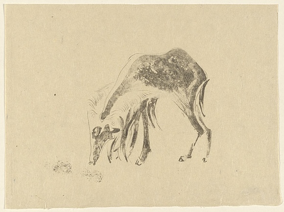 Artist: MACQUEEN, Mary | Title: Barbary sheep | Date: 1972 | Technique: lithograph, printed in black ink, from one plate | Copyright: Courtesy Paulette Calhoun, for the estate of Mary Macqueen