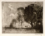 Artist: LONG, Sydney | Title: Pastoral aquatint | Date: 1921 | Technique: drypoint, aquatint and foul biting, printed in brown ink, from one copper plate | Copyright: Reproduced with the kind permission of the Ophthalmic Research Institute of Australia