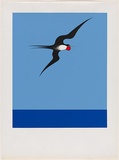 Artist: Binney, Don. | Title: Pacific frigate bird. | Date: 1968 | Technique: screenprint, printed in colour, from multiple stencils
