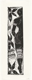 Artist: Kaikilekofe, Patrice. | Title: Ta'ahine (Young girl). | Date: 2000 | Technique: woodcut, printed in black ink, from one block