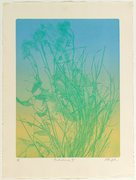 Artist: b'GRIFFITH, Pamela' | Title: b'Australiana III' | Date: 1979 | Technique: b'softground and colour roll printed in colour from one zinc plate' | Copyright: b'\xc2\xa9 Pamela Griffith'