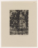 Artist: b'WILLIAMS, Fred' | Title: b'Landscape panel. Number 5' | Date: 1962 | Technique: b'aquatint, drypoint, engraving, printed in black ink, from one copper plate' | Copyright: b'\xc2\xa9 Fred Williams Estate'