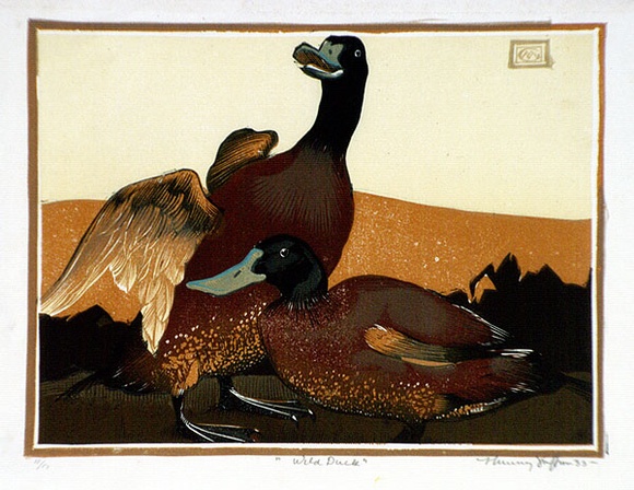 Artist: GRIFFIN, Murray | Title: Wild duck | Date: 1933 | Technique: linocut, printed in colour, from multiple blocks