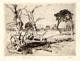 Artist: b'LINDSAY, Lionel' | Title: b'Old timber' | Date: 1913 | Technique: b'etching, printed in greenish-black ink, from one plate' | Copyright: b'Courtesy of the National Library of Australia'