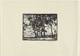 Artist: b'Johnson, John Godschall.' | Title: b'not titled' | Date: c.1930 | Technique: b'woodcut, printed in black ink, from one block'