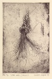 Artist: COOPER, Simon | Title: Still life (fig. 4.1) | Date: 1999, February | Technique: etching, printed in black ink, from one plate