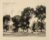 Artist: b'GOODCHILD, John' | Title: b'Light through trees' | Date: 1926 | Technique: b'lithograph, printed in black ink, from one stone'