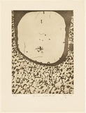 Artist: b'Olsen, John.' | Title: b'Life drawn to the void' | Date: 1975 | Technique: b'sugarlift etching and aquatint, printed in brown ink with plate-tone, from one zinc plate' | Copyright: b'\xc2\xa9 John Olsen. Licensed by VISCOPY, Australia'