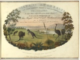 Artist: b'LYCETT, Joseph' | Title: bView in Bathurst Plains near Queen Charlotte's Valley. | Date: 1824 | Technique: b'lithograph, printed in black ink, from one stone; Hand-coloured'