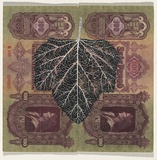 Artist: HALL, Fiona | Title: Althea officinalis - Marshmallow (Hungarian currency) | Date: 2000 - 2002 | Technique: gouache | Copyright: © Fiona Hall