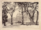 Artist: Warner, Alfred Edward. | Title: Droving scene | Technique: lithograph, printed in black ink, from one stone