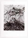 Artist: Vidler, Karen. | Title: not titled. | Date: 1988 | Technique: etching, printed in black ink, from one plate